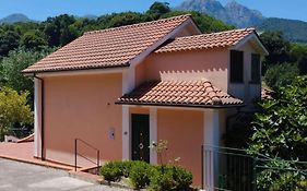 VILLA VICINUS - Villa immersa nel verde di Vietri.